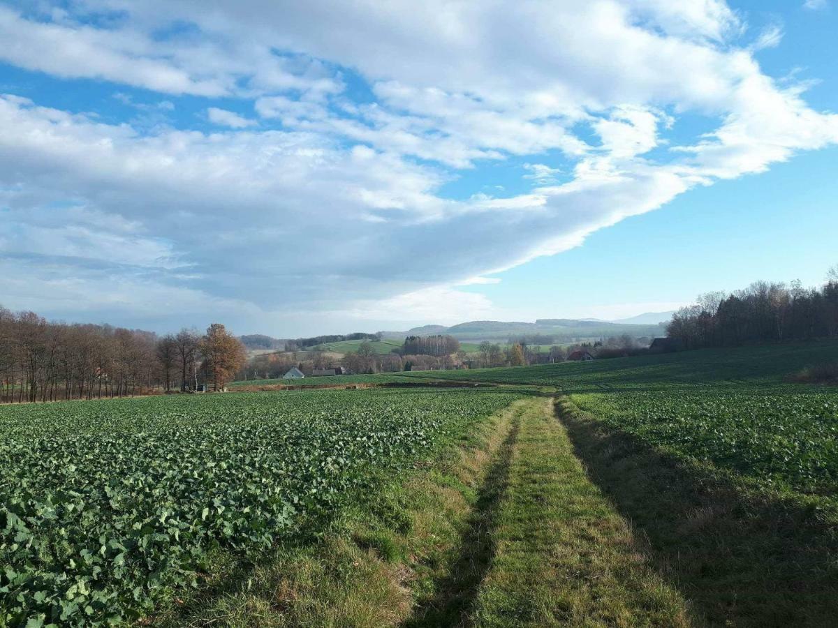 Agroturystyka U Swiatkow Stara Kamienica Exterior photo